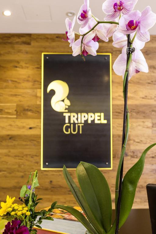 菲尔德茵卡特 Trippelgut - Schlafgut酒店 外观 照片